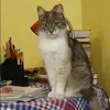 Отзыв от Ираида Воронцова